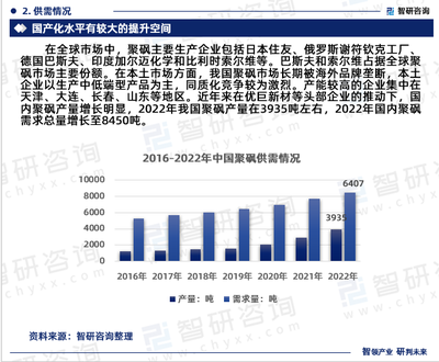 2024-2030年中国聚砜行业市场竞争态势及前景战略研判报告——防锈漆领域的应用分析与展望